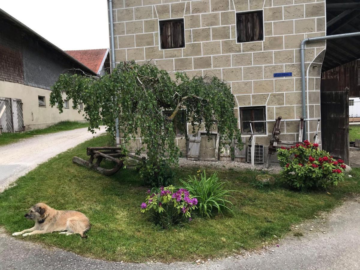 Pferdehof-Dietzsch Tittmoning Kültér fotó
